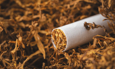 Курильщики-консерваторы: спрос на табак для кальяна растет – продажи бестабачных смесей падают